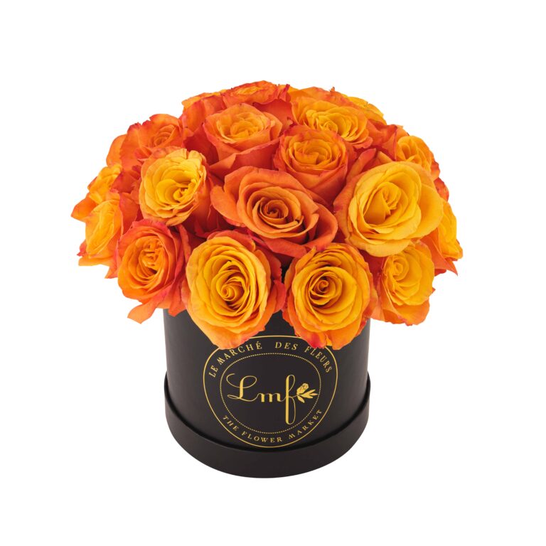 Roses - Orange - Small