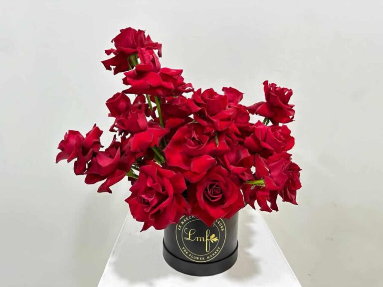 small red roses box valentine collection