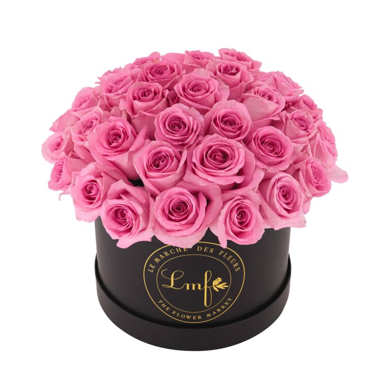 Roses-Pink-Large-scaled-1