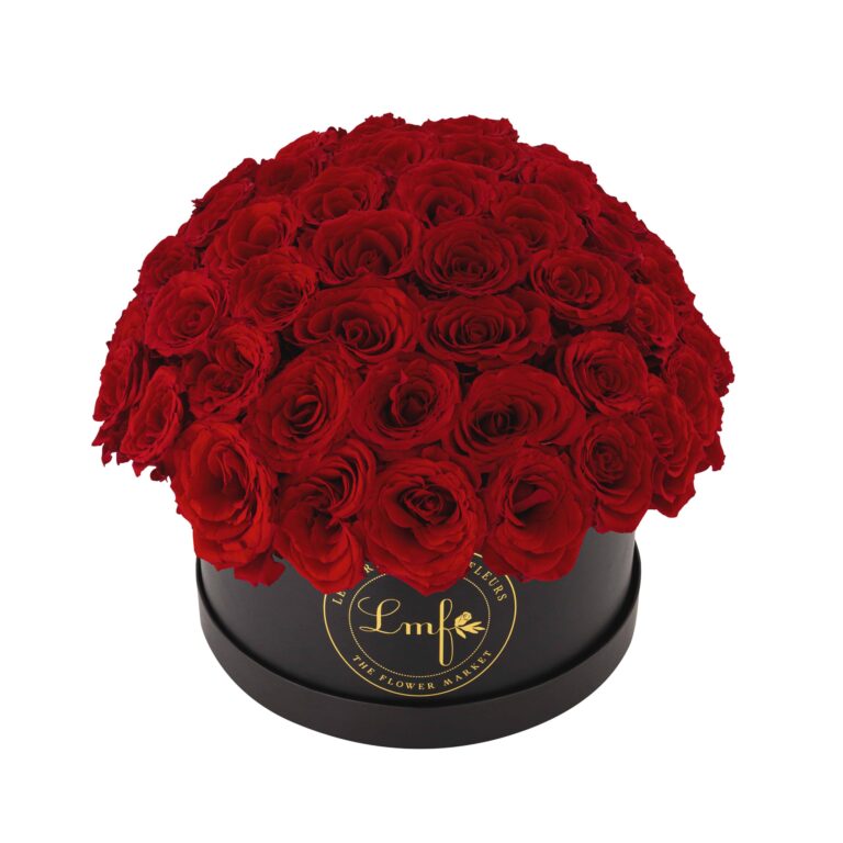 Roses-Red-Large-scaled-1